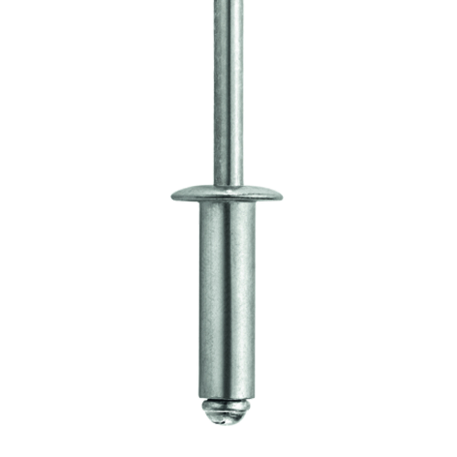 TIFAS® Blindniete Flachrundkopf St/St