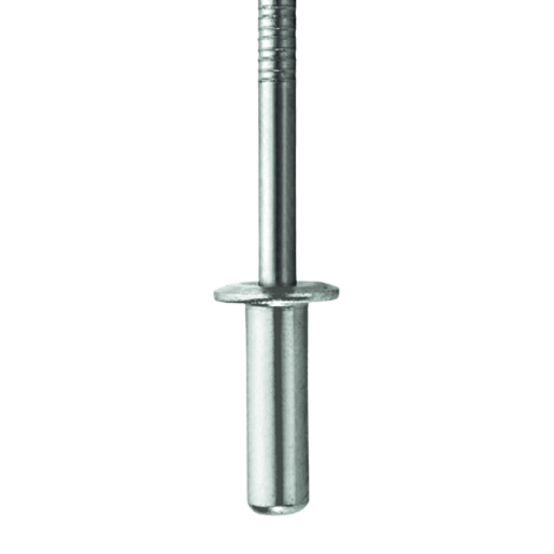 TIFAS® Becher Blindniete Flachrundkopf mit gerilltem Nietdorn A2/C1