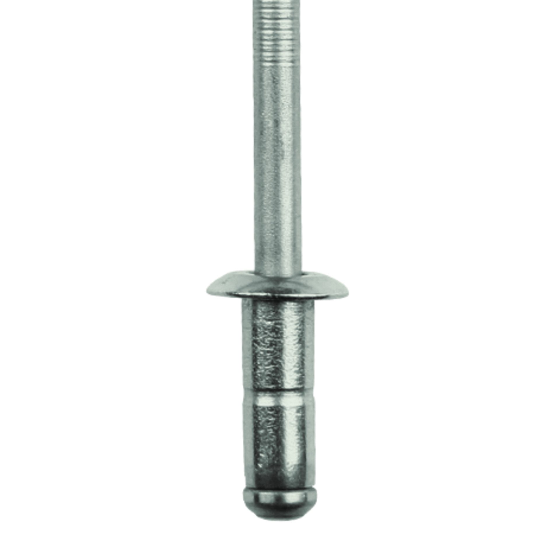 TIFAS® Grip Blindniete Flachrundkopf mit gerilltem Nietdorn A2/A2