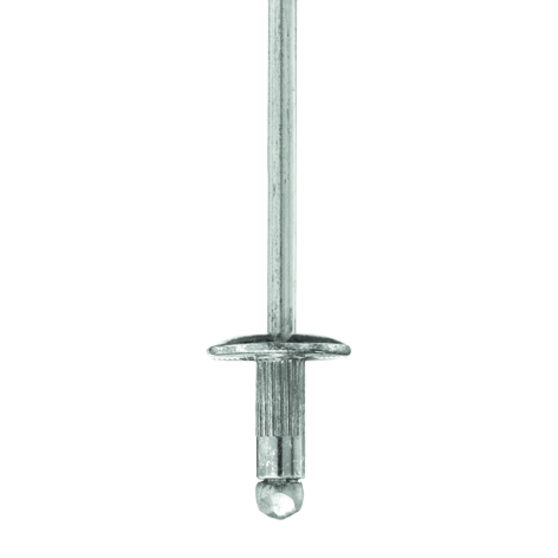 TIFAS® Erdungsblindniete großer Flachrundkopf St/St