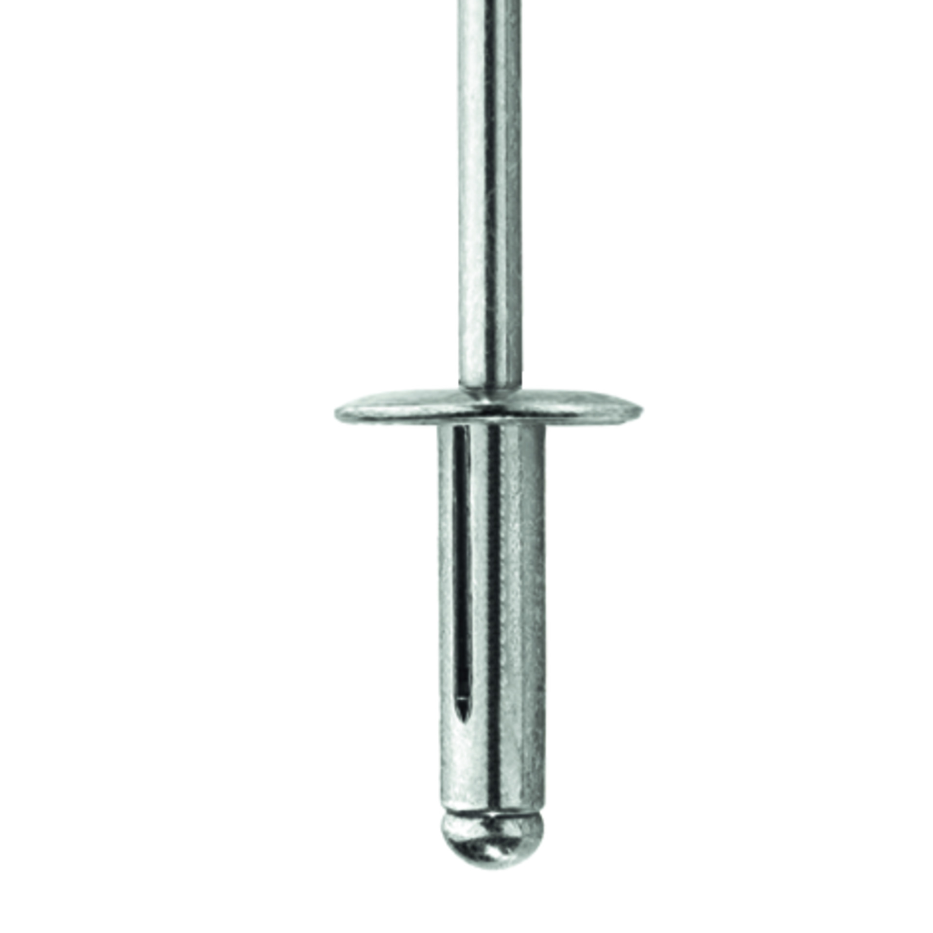 TIFAS® Star Blindniete großer Flachrundkopf Al/Al