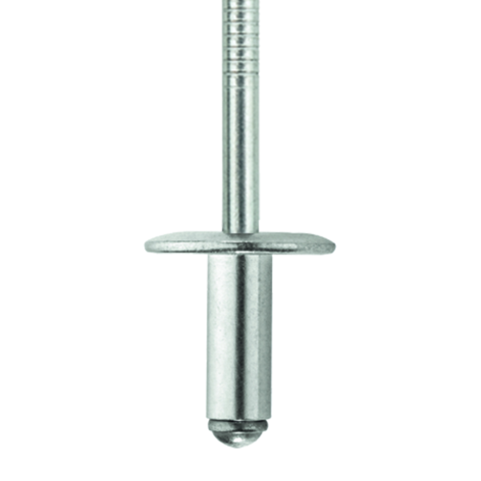 TIFAS® Blindniete großer Flachrundkopf mit gerilltem Nietdorn A2/A2