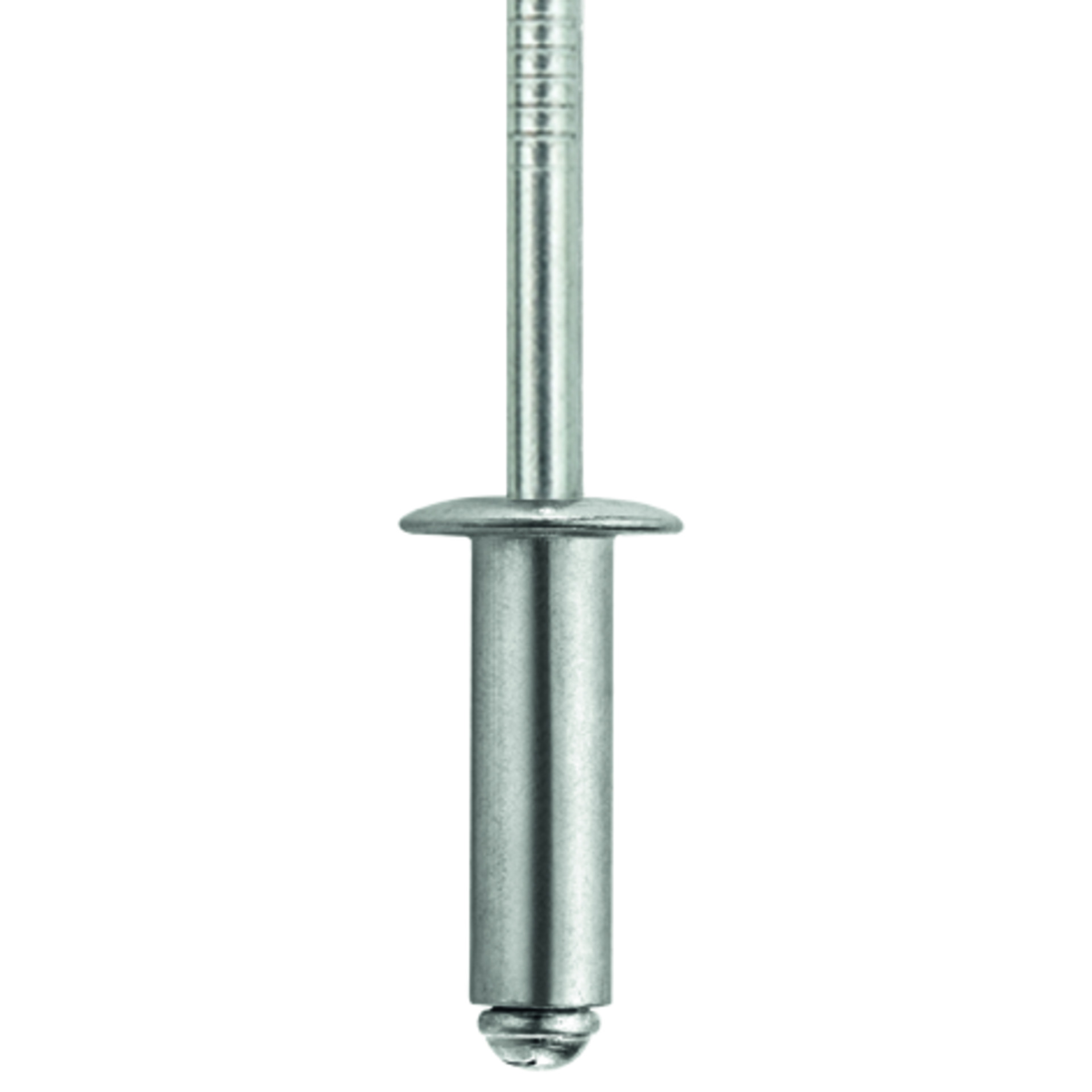 TIFAS® Blindniete Flachrundkopf mit gerilltem Nietdorn A2/A2