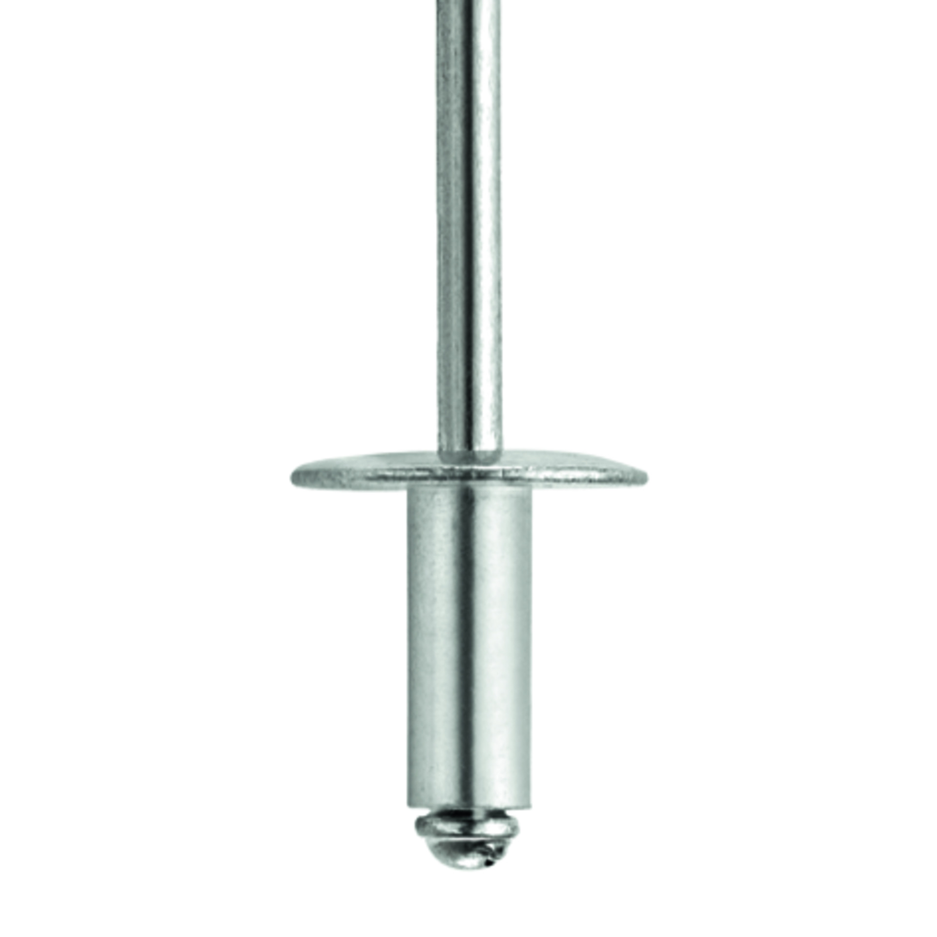 TIFAS® Blindniete großer Flachrundkopf St/St