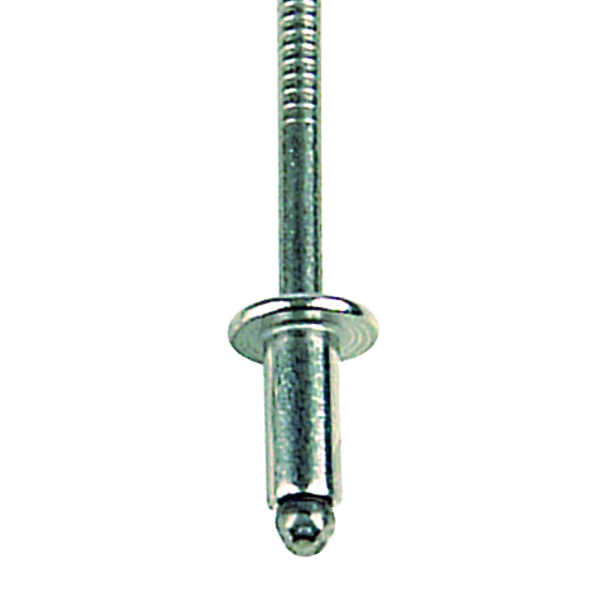 TIFAS® Blindniete Flachrundkopf mit gerilltem Nietdorn A4/A4